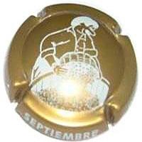 Placa 52e2bf641b5bf_6cd950a5084daef8f3df8e901fce8a77