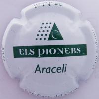 Placa