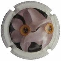 Placa 52eafa3b36339_c28112b4c40c31168dc14ed01e67445f