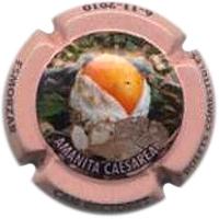 Placa 52eb56aacc023_ea7d179cd8e252fb6288f81e17d1a959