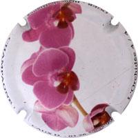 Placa 5432c60f48c97_5435868562346f9b897a9f90c113f5eb