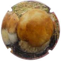 Placa 5432c7474bd2e_28b6fde33de4d5633420075a36dbec68