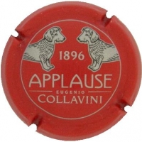 Placa 558b2a4481e98_03ac47419702ed2a1135a7676b0928a6