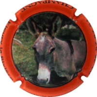 Placa 560505ae2f868_711cb2f215c34f210f86ecb73c26f2b8