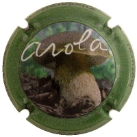 Placa 565491383cf6b_dd56fecaed5beb5527c9254ee1b7732e