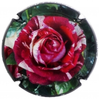 Placa 5682fda000b70_3ebbd1f8f5b5819a09031be5af9e91f7