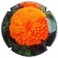 Placa 5682ff43d635f_3b11748d0b58c0f39b59a36c6c8d4982