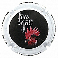 Placa 5687731173bcd_8cd76958475b9f5a89c2ab469520b5de