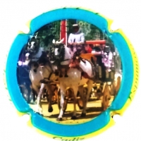 Placa 56f28903e8d3e_5e5c772677b988ebfdf8fa0925899c20