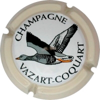 Placa 587c9fe6e2d0f_5bf36b65d0cfb662aa5aa8a3f00e781d