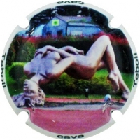 Placa 588e22e358d8a_a9b639f9d241778d00ebbf1f4439a1ee