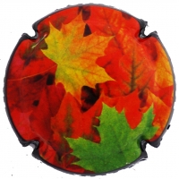 Placa 5a36a60edce31_1bea95c413bf08d21d8e34c399badf07