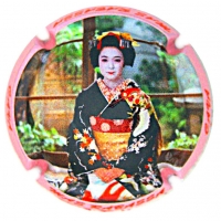 Placa 5ace50c9ec550_f68ff75a917a9d566f6a61e630e761e4