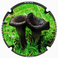 Placa 5c8bd0dfa657d_abc06bc79ca40e56c134246f6be3f6e0