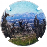 Placa 5ccf36b2d439c_522720f5f05431eda57f19cd32d08f6a