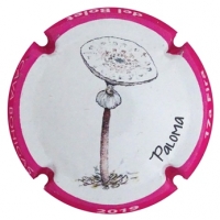 Placa 5db9f00a03fed_29b5f1256af7562dd96ca07c679016f9