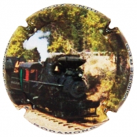 Placa 5f01f92e98ce0_420d1d1c12b74285582c34b678c4466e