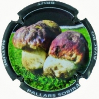 Placa 5f8346c796f21_cae51dc1173609c8af50441f7bd7c0ff