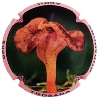 Placa 5fce66b8b94d9_467777e2e499e44c9218bde85967f900