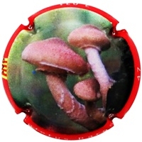 Placa 6026a85478d3d_e0d0a6d6dab5c4e6185dd8e931ffae6b