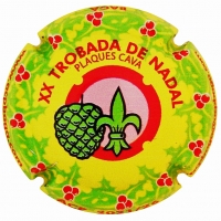 Placa 61c0f6a9dd8fb_66bc4722af90815f6a00088d0f86dda2