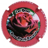 Placa 620946a55a764_db99d314d9a41e6ae6585ffc1f4fd8ab