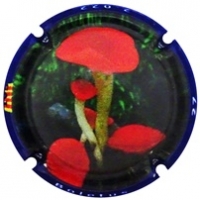 Placa 6364f14aa7506_bbdbf7a8c09385581c375fa7f639e58e