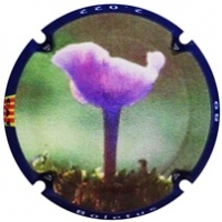 Placa 63806b602de02_57eda51f99e5e4d1d97b9027f0f424bf