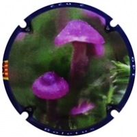 Placa 638070bec427a_58a36a1b6f384fcdb317d2c131ca1269