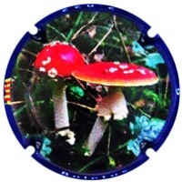 Placa 63b9e4da61ed4_c1d94d6874e78fc906a85fdffc19c6e0