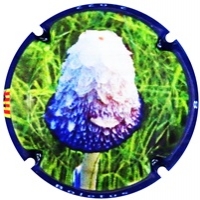 Placa 63b9e54ed2c14_8bcafe5e1d012790acf8f6c54d2e57d1