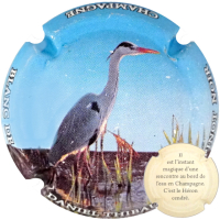 Placa 65a42ca856414_ffe06018f8a2faf9db149165eb54aa42