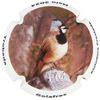 Placa 663bb926c38f3_9e80f36ca18f73002543a9b86d500f3d