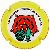 Placa 6746bc14b0ed9_84e2e2a029e16a616ab5c862f8cc96cc