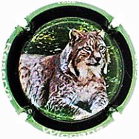 Placa 68415e62ef37c_dcb7a7e10375625ad08738b63881a880