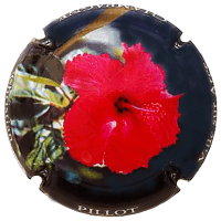 Placa 68d19b78712f5_09c31d3ae4a423f60e62fc4b2e43449b