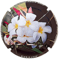 Placa 68d25f3545959_07fe17d87813b0d373d434e395092c2b