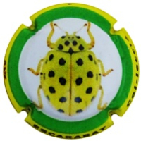 Pirules