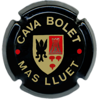 Placa 696a0f52257d5_cb09e7358fb7da792ad00e0eb04da5fa