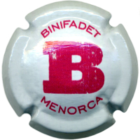 Autonòmica