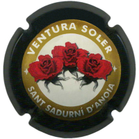 Placa
