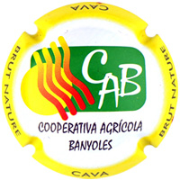 Placa