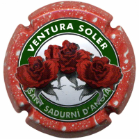 Placa